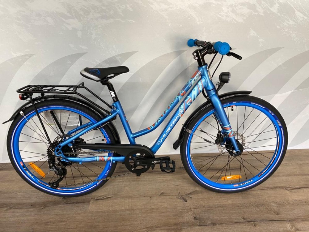 Singlespeed In Wohlen
