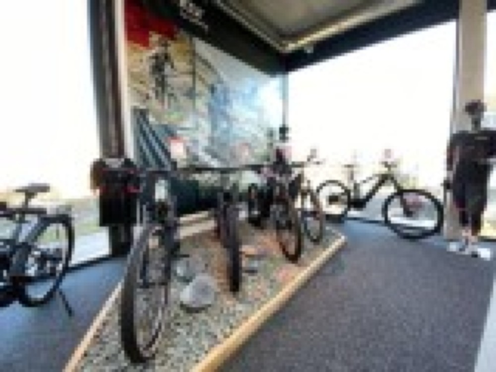 Citybike kaufen: BIXS Frappe Neu