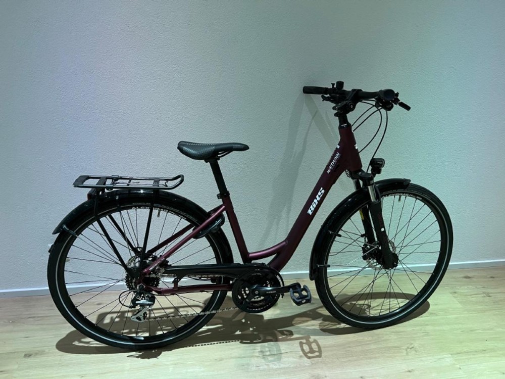 Citybike kaufen: BIXS Campus 3 Di Neu