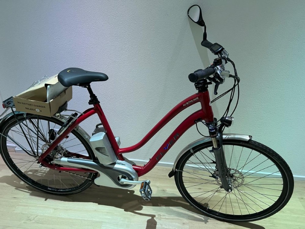 E-Bike kaufen: FLYER L  Occasion