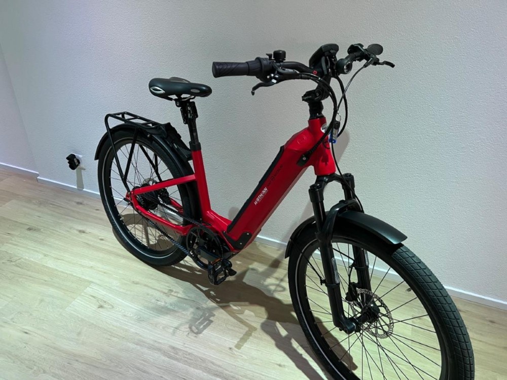 E-Bike kaufen: HNF-NICOLAI Danen Occasion