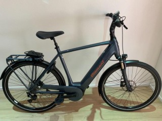e-Bikes Citybike DIAMANT Zagora