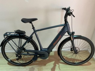 E-Bike kaufen: DIAMANT Zagora Occasion