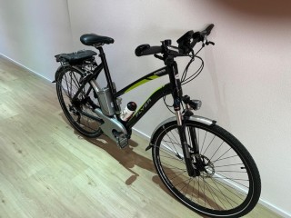 e-Bikes Citybike FLYER L