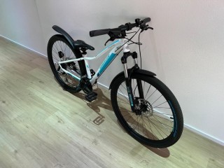  Citybike kaufen: WHEELER Passera 2.7 Occasion