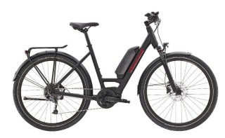 E-Bike kaufen: DIAMANT Zing +  Neu