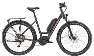 E-Bike kaufen: DIAMANT Zing Deluxe+ Neu