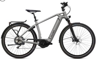 E-Bike kaufen: FLYER Gotour6 7.10 Neu