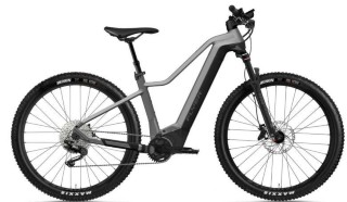 E-Bike kaufen: FLYER Uproc2 2.10 Neu