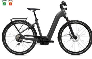 E-Bike kaufen: FLYER Gotour 7.10 Nouveau