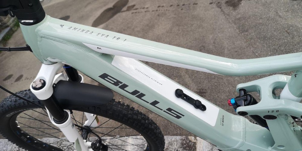 E-Bike kaufen: BULLS Bulls Aminga Eva TR1 Neu