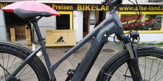 E-Bike kaufen: BULLS Bulls Cross Flyer Evo Trapez Neu
