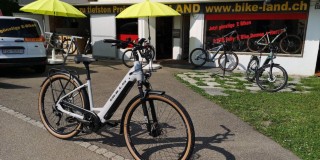 E-Bike kaufen: BULLS Bulls Cross Lite Evo 1 wave Neu