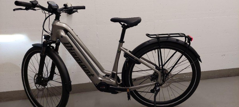 E-Bike kaufen: DIAMANT Zouma+ TIE Testvelo