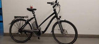 E-Bike kaufen: FLYER T8.2 HS Occasion