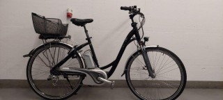E-Bike kaufen: FLYER T-Serie Occasion