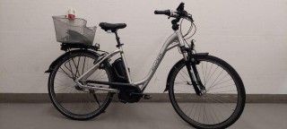 E-Bike kaufen: FLYER T-Serie Occasion