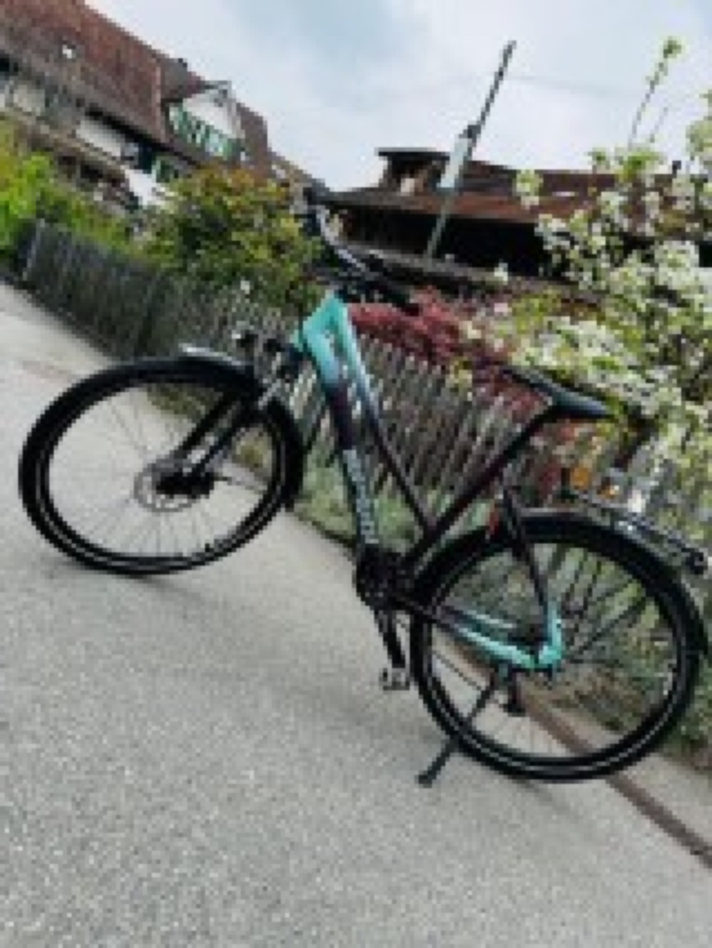 Gross Inserate Image