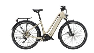 E-Bike kaufen: DIAMANT Zouma Deluxe + 625 Wh Neu