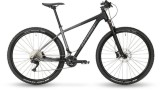 Bikes Mountainbike STEVENS Applebee