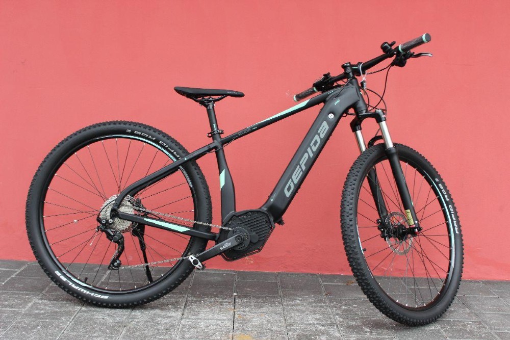 gepida fahrräder preise