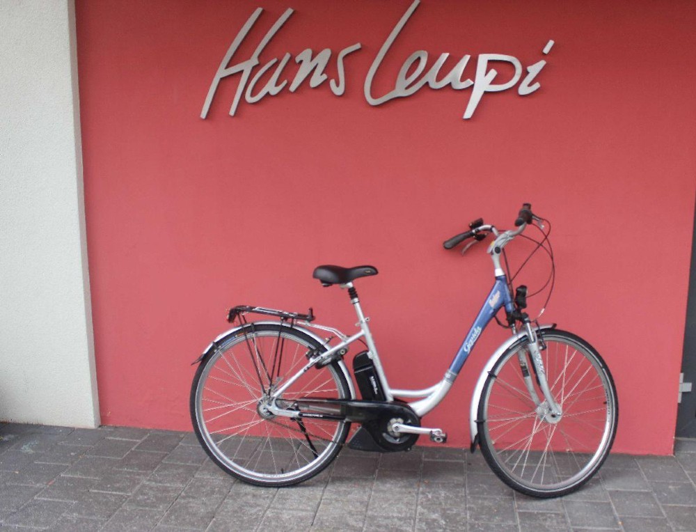 E-Bike kaufen: GEPIDA Reptila 1000 Occasion