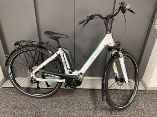 E-Bike kaufen: GEPIDA Reptila Disc 1000 Neu