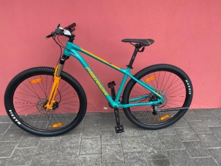 Bikes Mountainbike MERIDA Big Nine 200