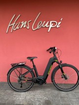 e-Bikes Citybike BERGAMONT E-Horizon Expert Amsterdam