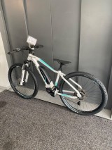 e-Bikes Mountainbike GEPIDA Sirmium Pro
