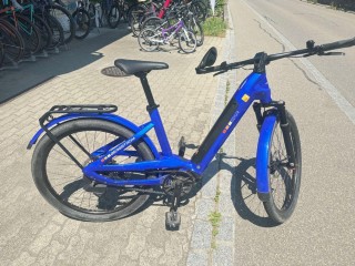 E-Bike kaufen: BERGSTROM GXR 880 Mono Occasion