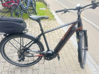 E-Bike kaufen: BIXS Campus 10 E Occasion