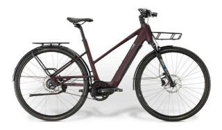 E-Bike kaufen: CRESTA eEterna Neu