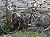 Bikes Rennvelo WHEELER Road Furore