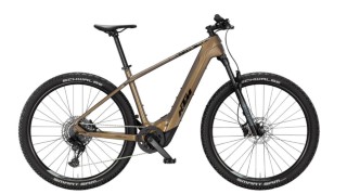 E-Bike kaufen: KTM Macina Team 893 LG 49 Nouveau
