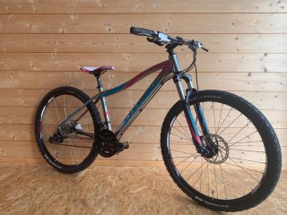 Bikes Mountainbike STEVENS Nema LG 95