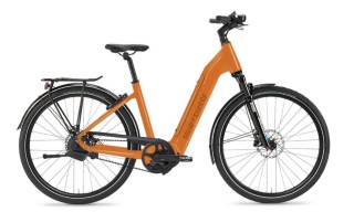 e-Bikes Citybike TOUR DE SUISSE Charisma 25 LG3