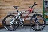 Bikes Mountainbike STEVENS F10 Team