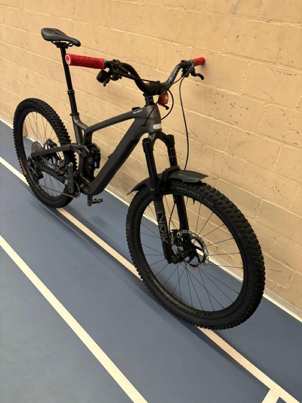 Mountainbike kaufen: TREK Fuel EX Testvelo