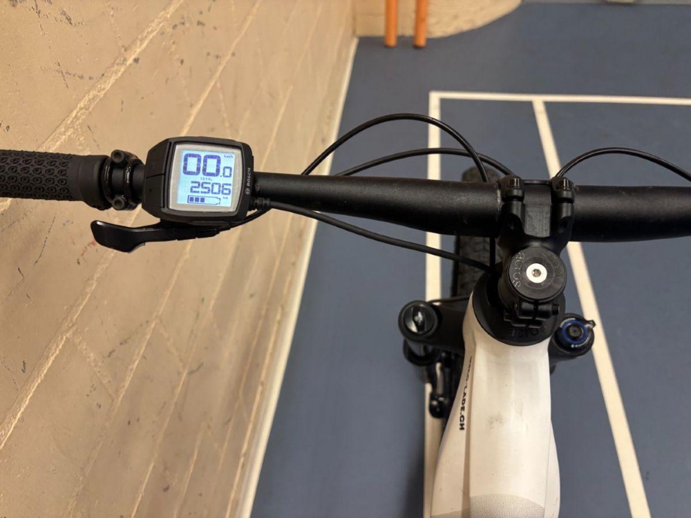 E-Bike kaufen: MALAGUTI Civetta FS 6.1 Occasion