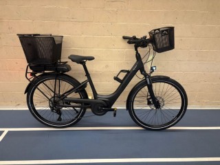 E-Bike kaufen: DIAMANT Ubari Deluxe+ Occasion