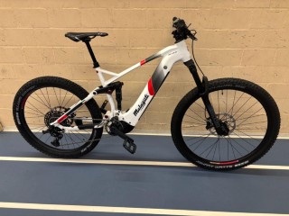 E-Bike kaufen: MALAGUTI Civetta FS 6.1 Occasion