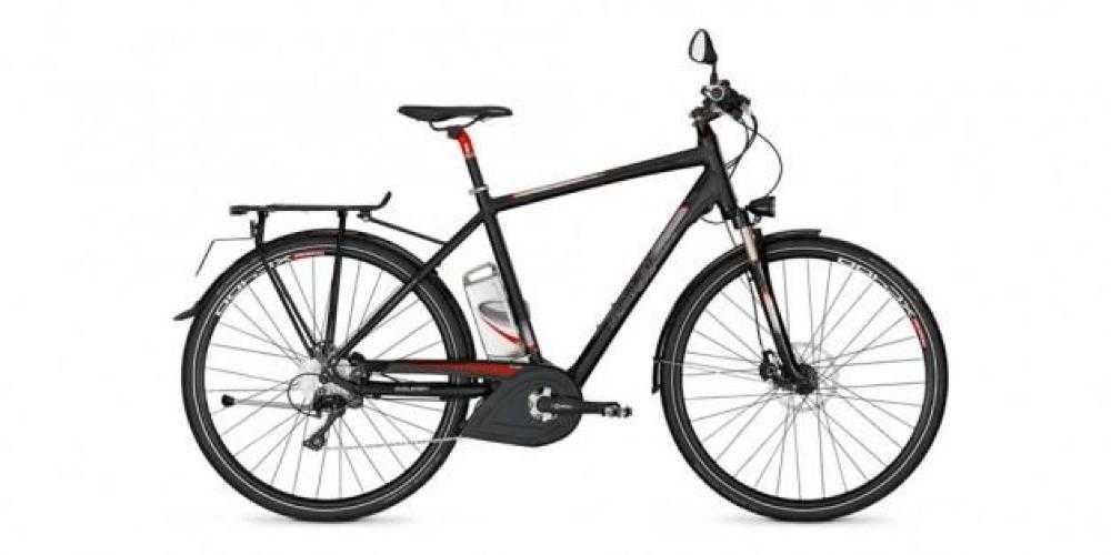 E-Bike kaufen: RALEIGH Stoker 40 Damen-Trapez Nouveau