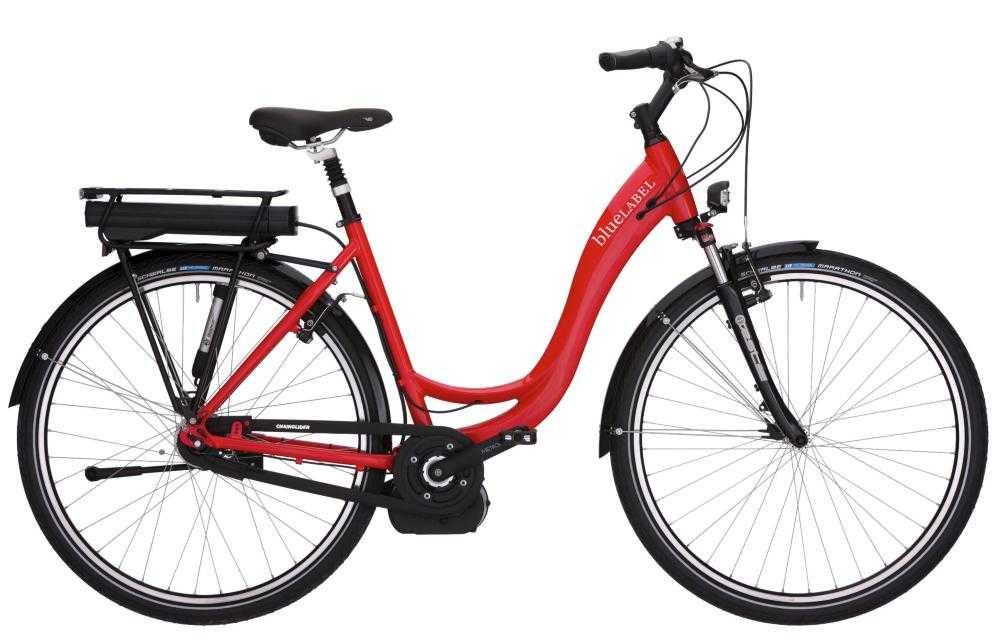 E-Bike kaufen: RIESE & MÜLLER blueLabel Komfort Modèle précédent
