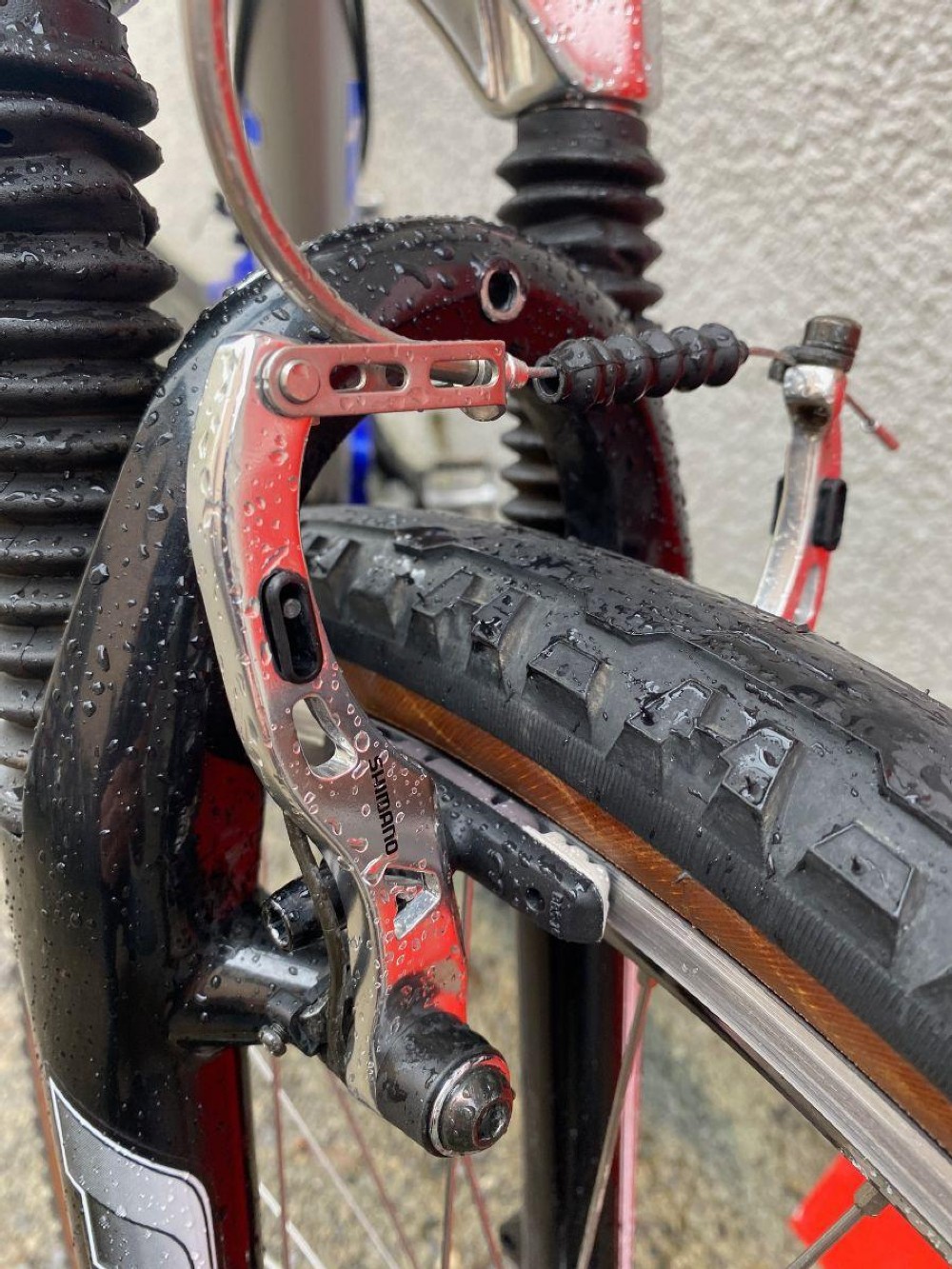 Mountainbike kaufen: ARROW Carusa Occasion