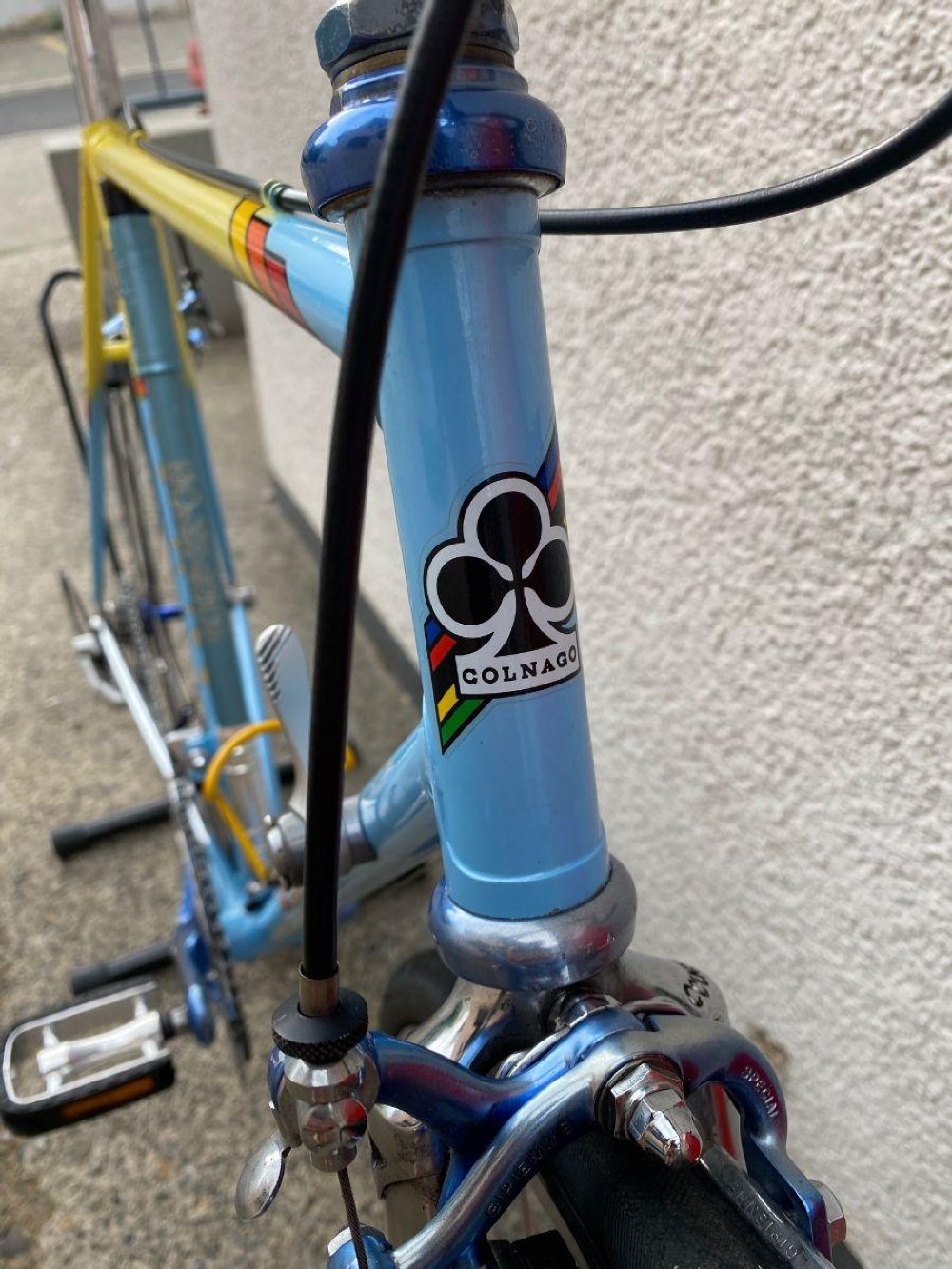 Rennvelo kaufen: COLNAGO primo Occasion