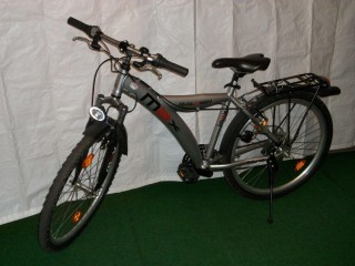  Mountainbike kaufen: RALEIGH Max Neu