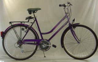  Citybike kaufen: ALPINA Country Neu