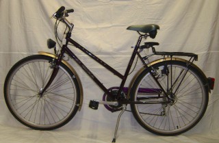  Citybike kaufen: ALPINA Colorado Neu