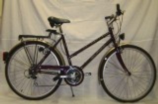  Citybike kaufen: ALPINA Colorado Neu